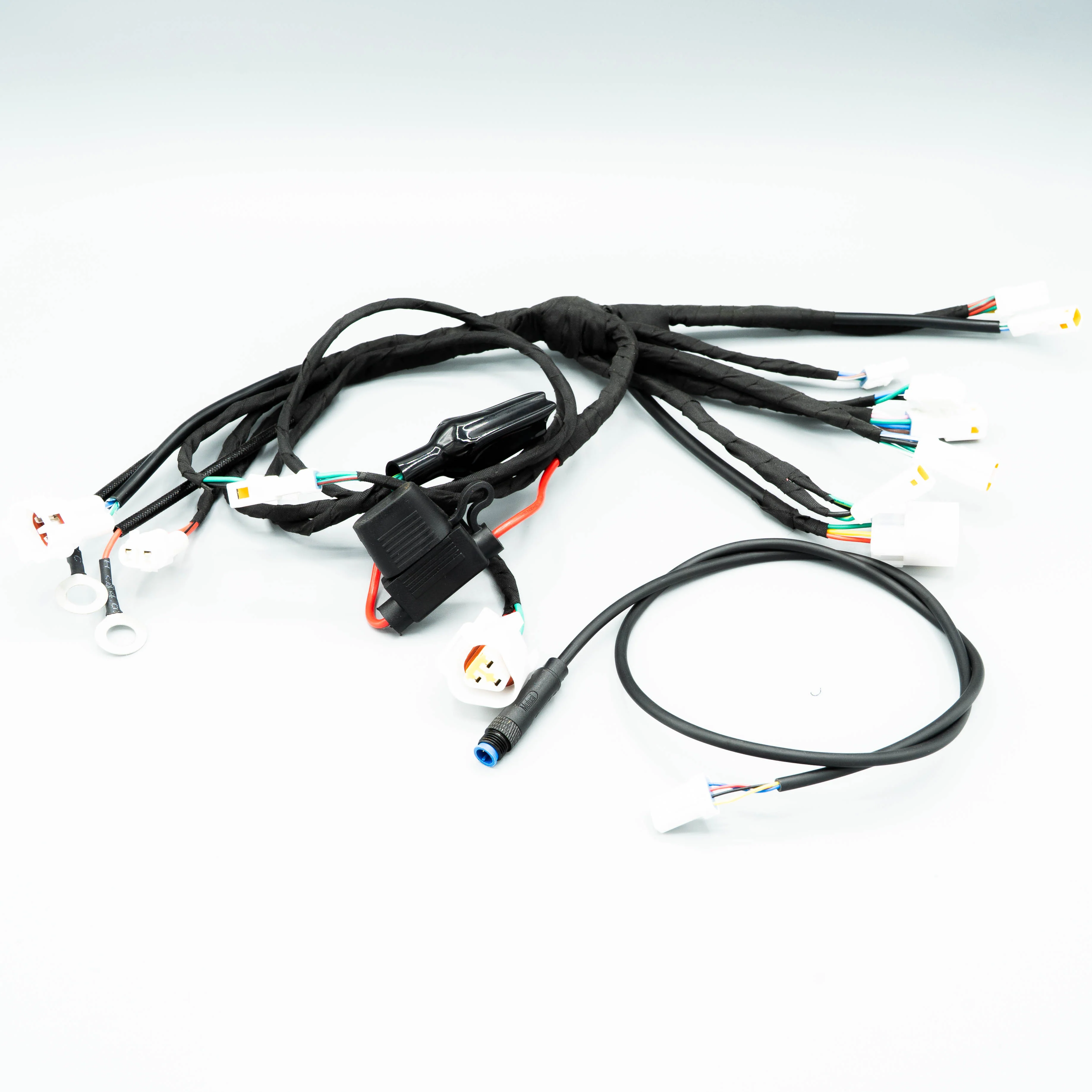 Champ Main Cable - Image 2
