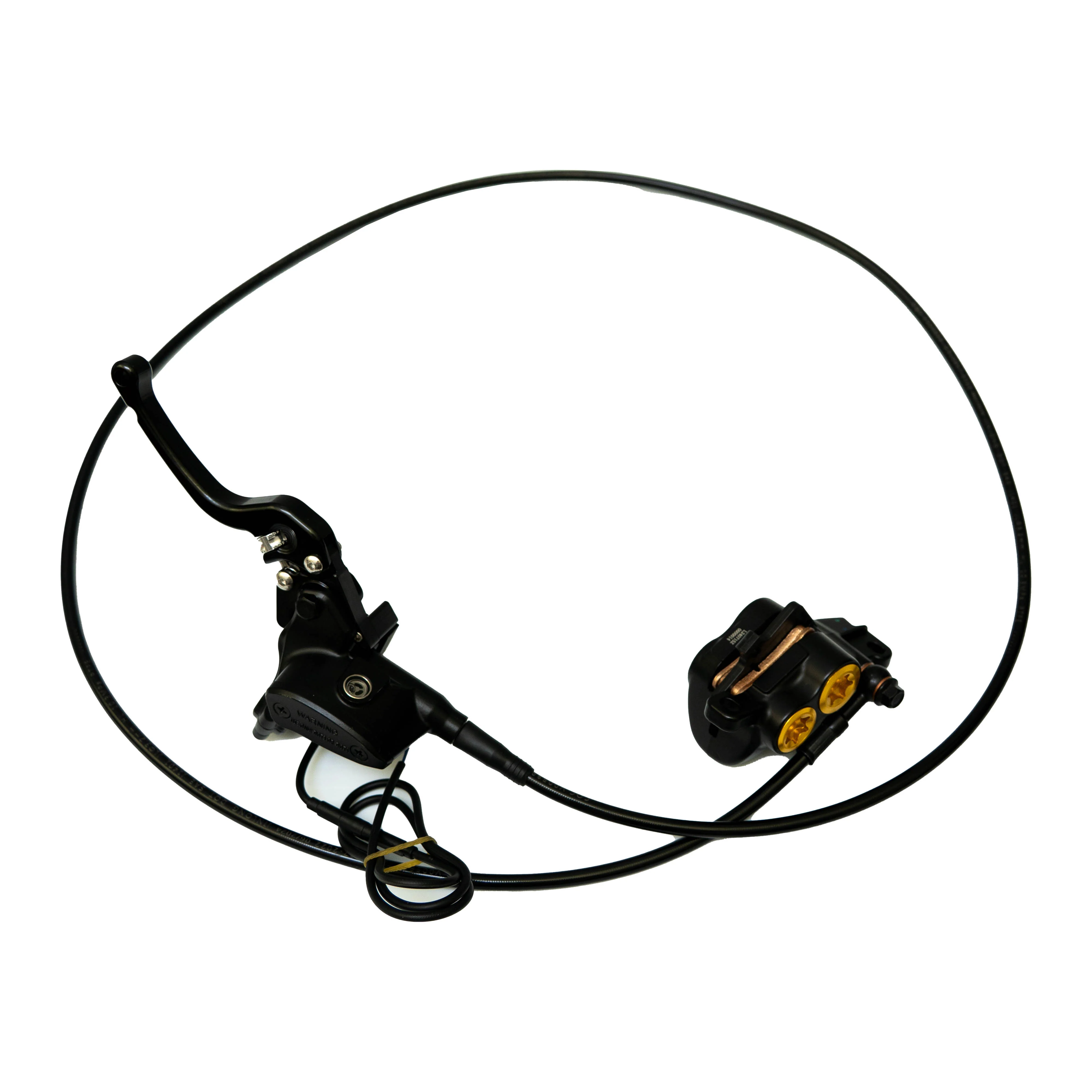 Champ Rear Disc Brake Assembly